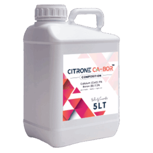 CITRONE CA-BOR 🇹🇷