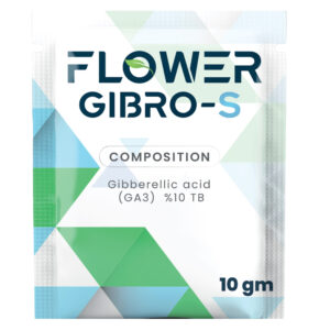 FLOWER  GIBRO-S 🇨🇳