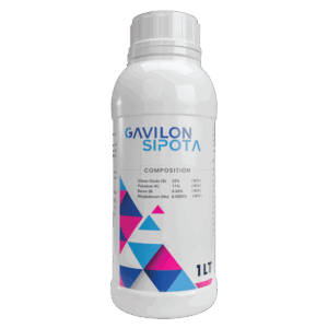 GAVILON  SIPOTA 🇰🇷