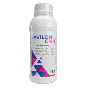 GAVILON CMB 🇰🇷