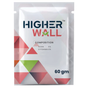 HIGHER WALL 🇨🇳