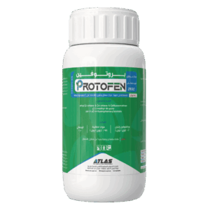 PROTOFEN 🇨🇳