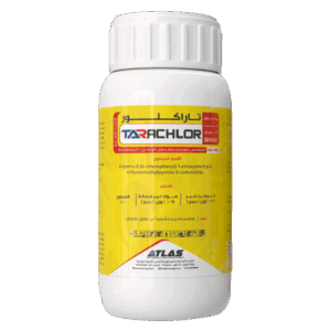 TARACHLOR 🇨🇳