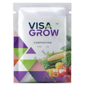 VISA GROW 🇨🇳
