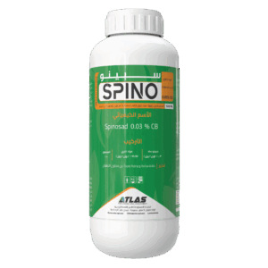 SPINO 🇨🇳