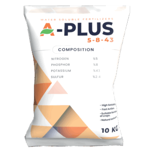 ايه بلس 5-8-43 🇹🇼