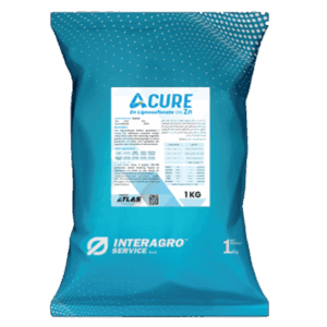 اكيور زنك 🇮🇹