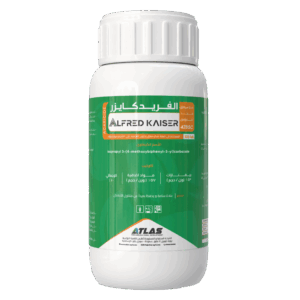 الفرد كايـزر 🇨🇳