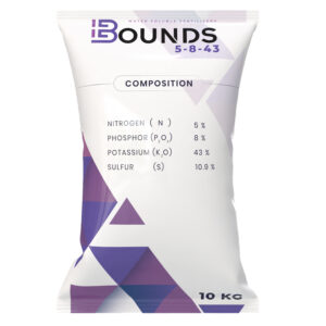 بوندس 5-8-43 🇨🇳