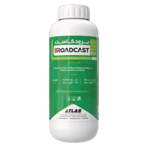 بـرودكـاســت 🇨🇳