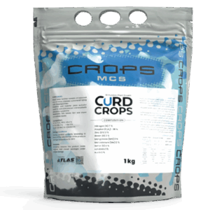 كورد كروب 🇪🇸