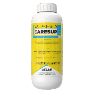 كــيـرســــاب 🇨🇳