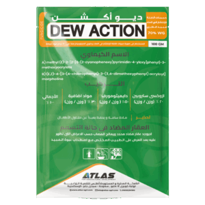 ديـو اكـشـن 🇨🇳