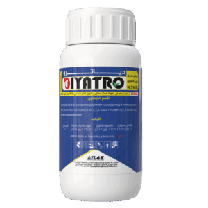 ديــــــاتــــــرو 🇨🇳