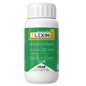 فليكسيم 🇨🇳