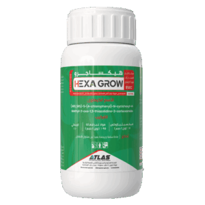 هيكسـاجرو 🇹🇷