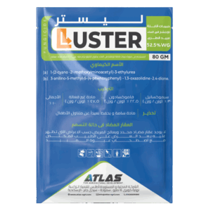 لـيــســتــر 🇨🇳