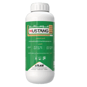 مـوسـتـانـج 🇹🇷