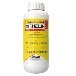 ميتـشيلين 🇨🇳