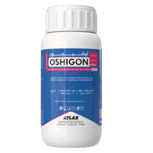 اوشيــجـون 🇨🇳