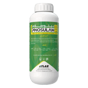 بينوسلام 🇨🇳