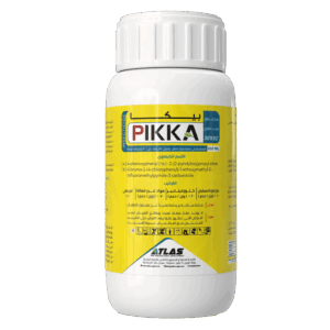 بــيــكــا 🇨🇳