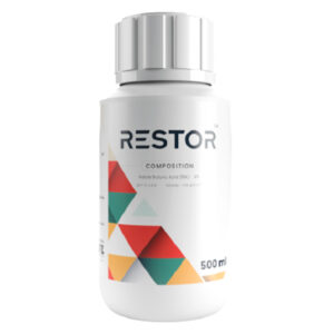 ريــسـتــور 🇨🇳