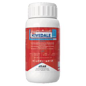 رايــفـديــل 🇨🇳