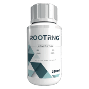 رووتـرنـج 🇨🇳