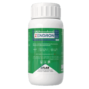 زيـــنـــدرون 🇨🇳