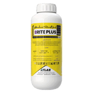 برايت بلس 🇨🇳