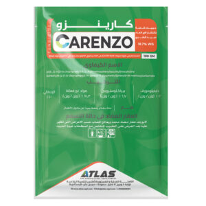 كــاريــنــزو 🇨🇳