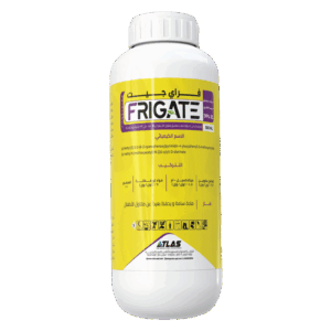 فراي جـيـت 🇨🇳