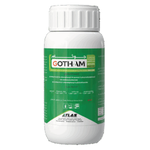 جــــــوثـــــــام 🇨🇳