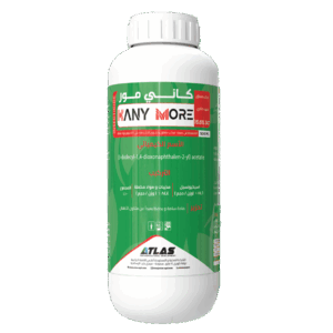 كــانــي مــور 🇨🇳