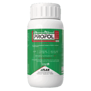 بــروفـــول 🇨🇳