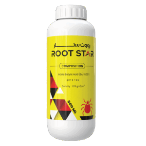 رووت ستـار 🇨🇳