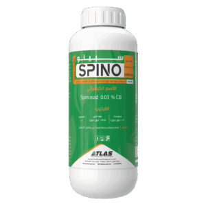 ســــــبــيــنــو 🇨🇳