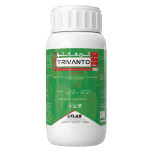 تريفــانـتـو 🇨🇳