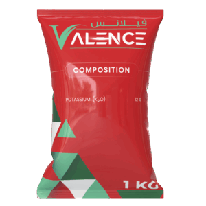 فالينس 🇨🇳